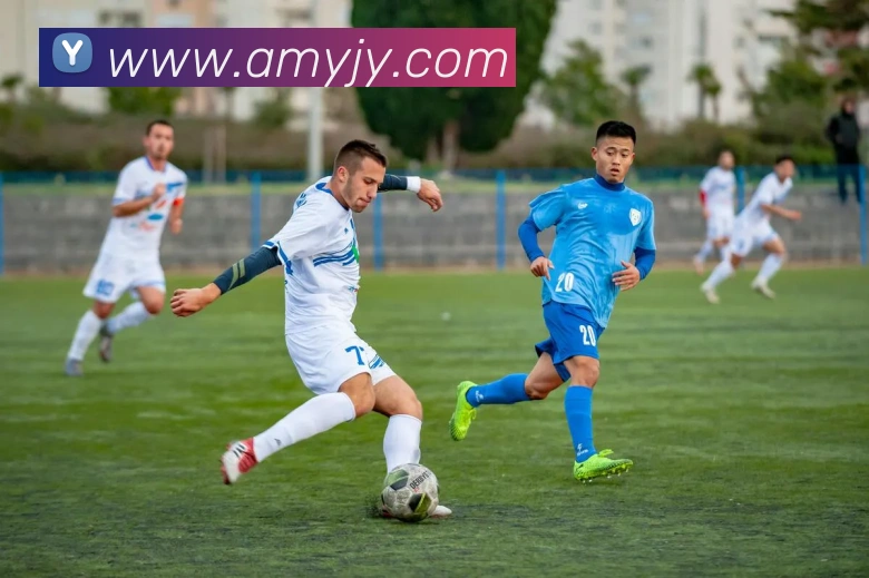 App Interface Preview